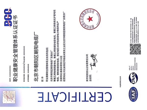 职业健康安全管理体系认证证书2